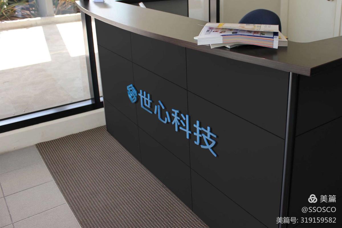 深圳世心科技来公司沟通网站建设方案与部署